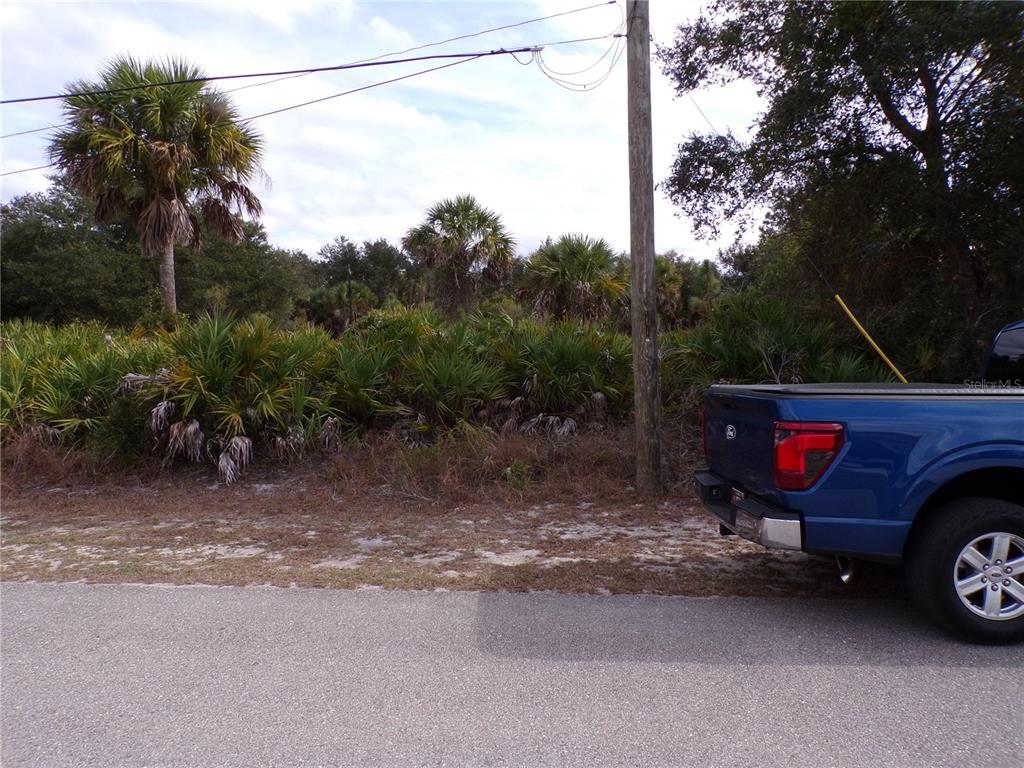 A blue pickup truck is parked on the side of a road near a wooded lot — DRYDEN STREET, NORTH PORT, FL