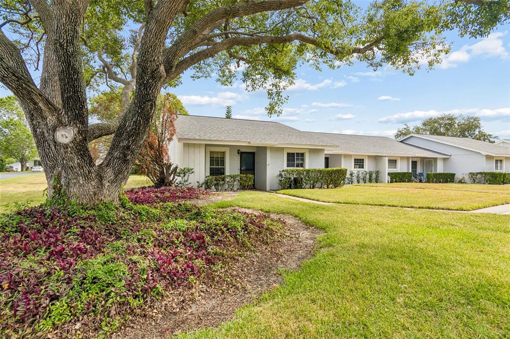 A single-story residential building features a large oak tree and landscaping in the front yard — 7725 DANUBE DRIVE UNIT 0000, HUDSON, FL
