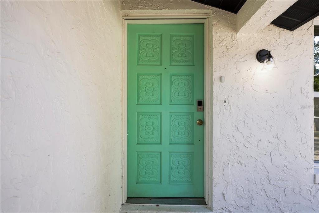 A bright green front door with decorative panels is set in a white stucco wall — 3304 KING RICHARD COURT, SEFFNER, FL