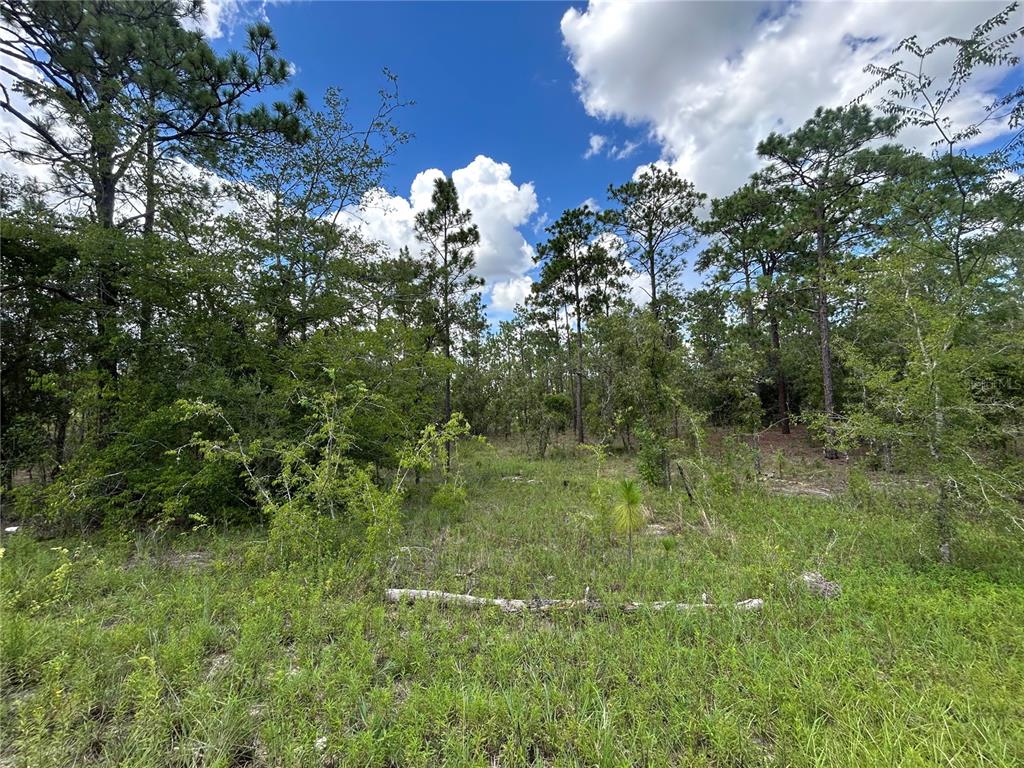TBD SE 26TH STREET, MORRISTON, FL — photo 2 of 6
