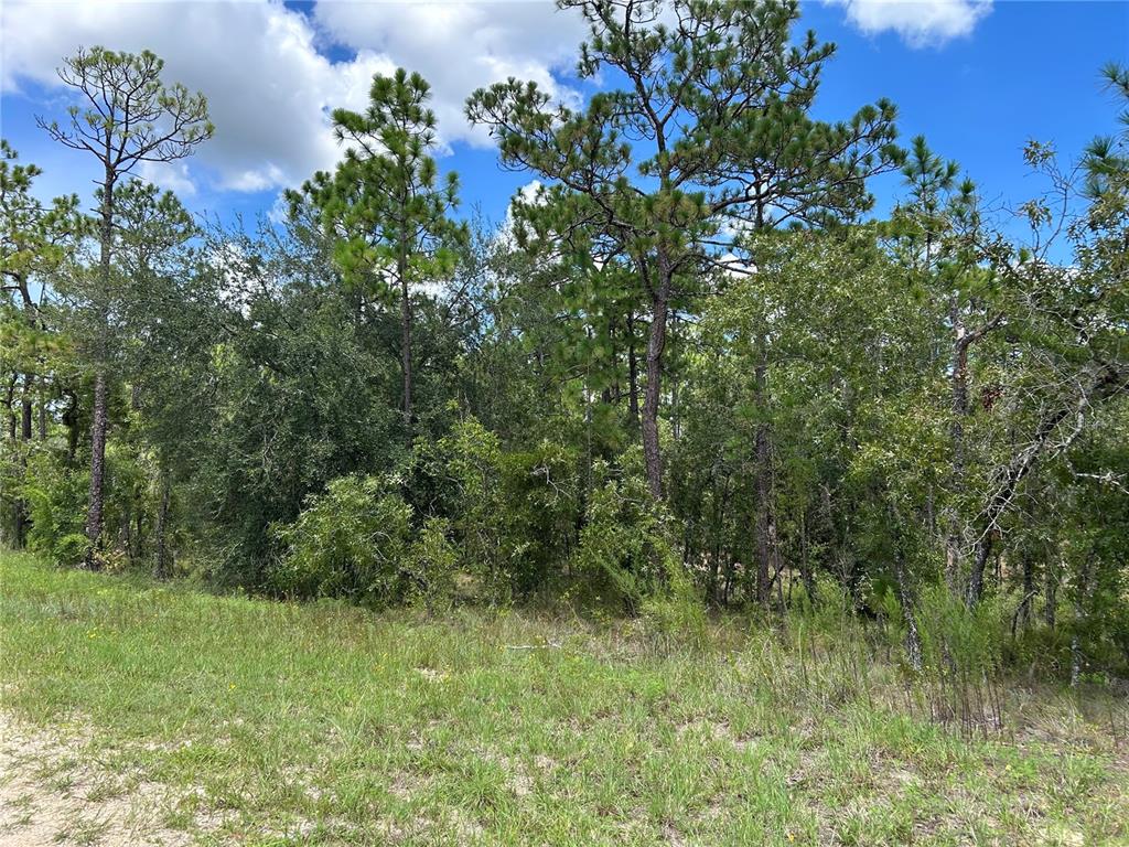 TBD SE 26TH STREET, MORRISTON, FL — photo 3 of 6