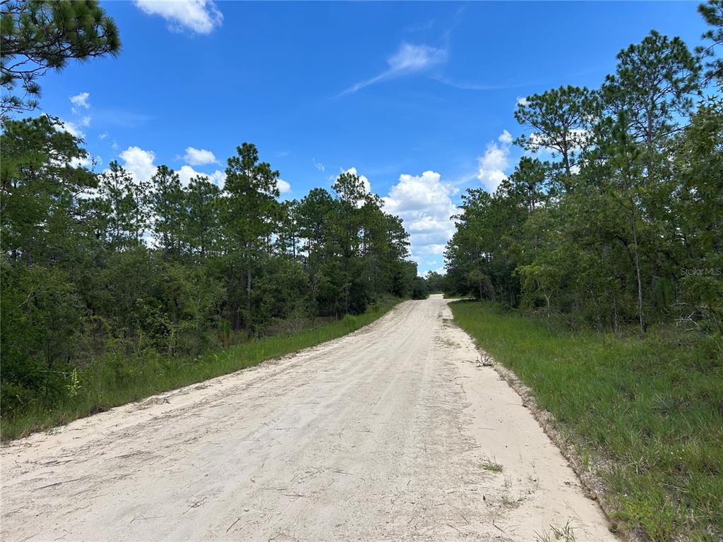 TBD SE 26TH STREET, MORRISTON, FL — photo 4 of 6