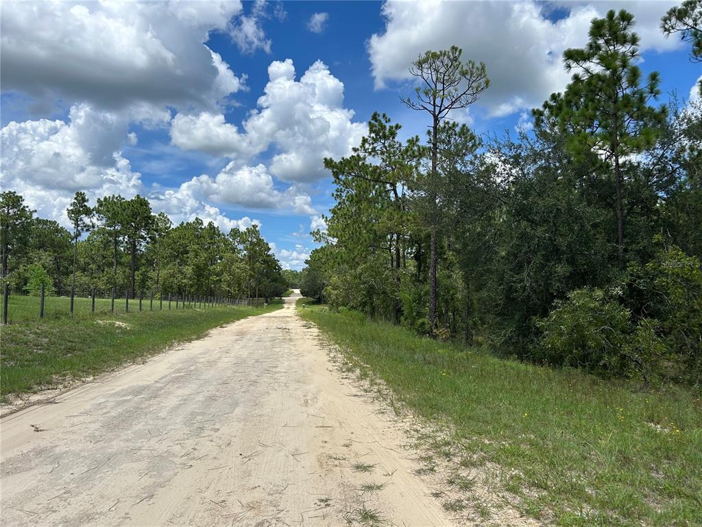 TBD SE 26TH STREET, MORRISTON, FL — photo 5 of 6