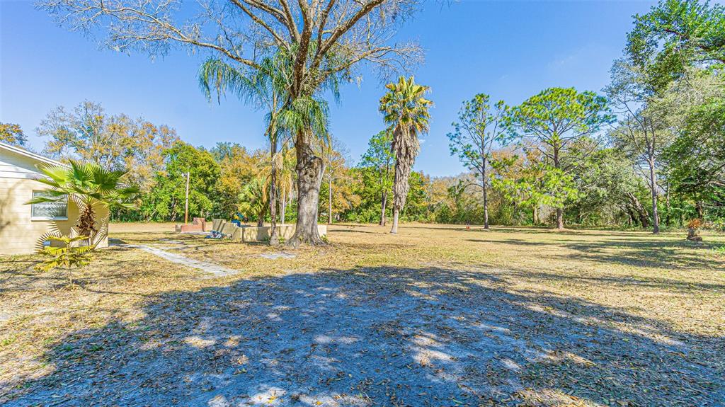 A large, grassy backyard features several tall trees and a partial view of a house — 3902 AUTUMN PALM DRIVE, ZEPHYRHILLS, FL