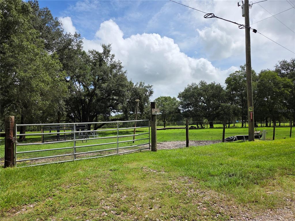 A metal gate opens into a grassy, tree-lined pasture under a cloudy blue sky — CR 614A, BUSHNELL, FL