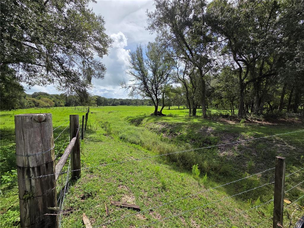 A barbed wire fence borders a grassy field with scattered trees under a cloudy sky — CR 614A, BUSHNELL, FL