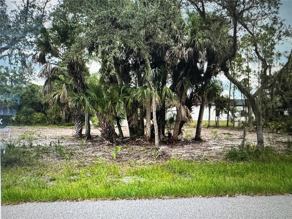 A vacant, sandy lot features a dense cluster of palm and oak trees — 17512 BILLIAR AVENUE, PORT CHARLOTTE, FL