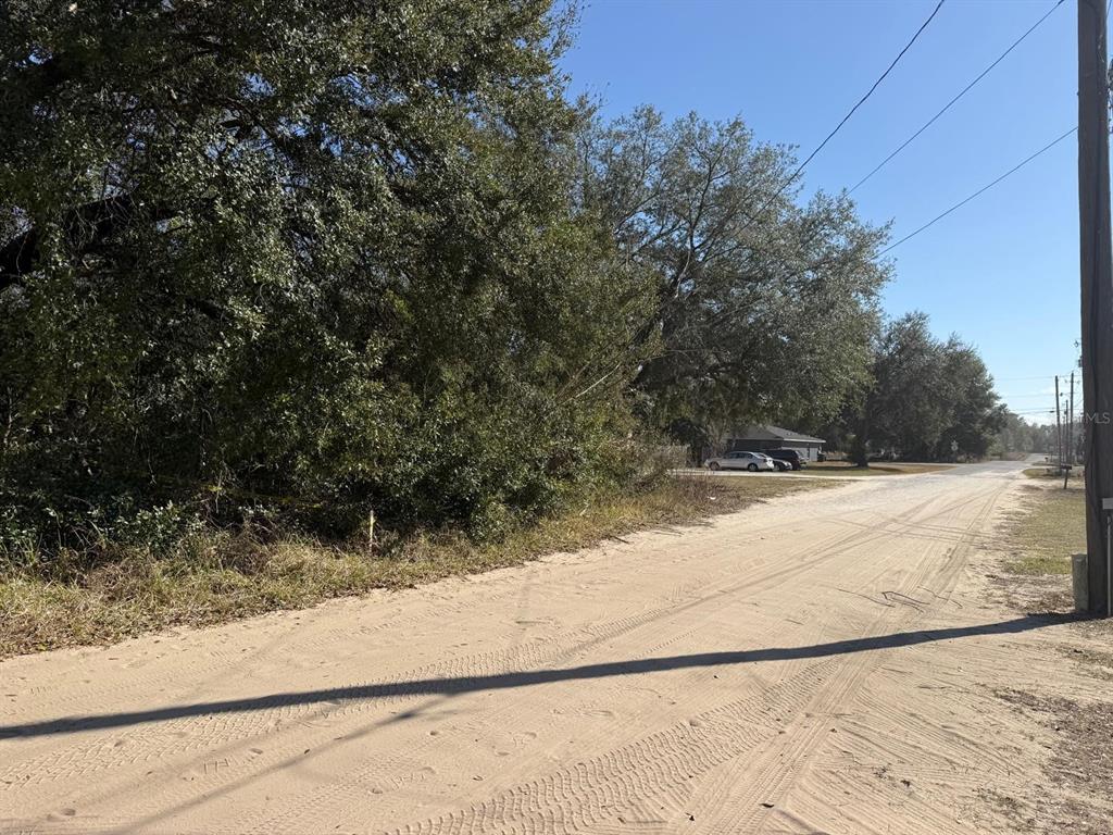 A dirt road runs alongside a wooded lot with a utility pole on the right — 771 NW 57 TH AVENUE, OCALA, FL