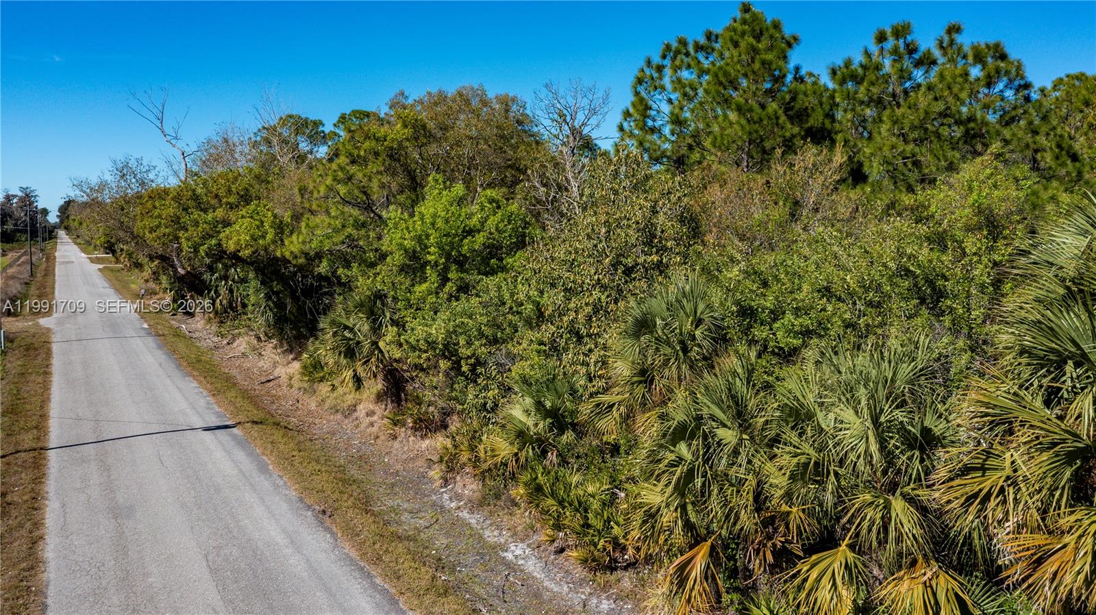 A paved road runs alongside a dense area of trees and palmetto bushes — 850 G RD, La Belle FL 33935, LA BELLE, FL