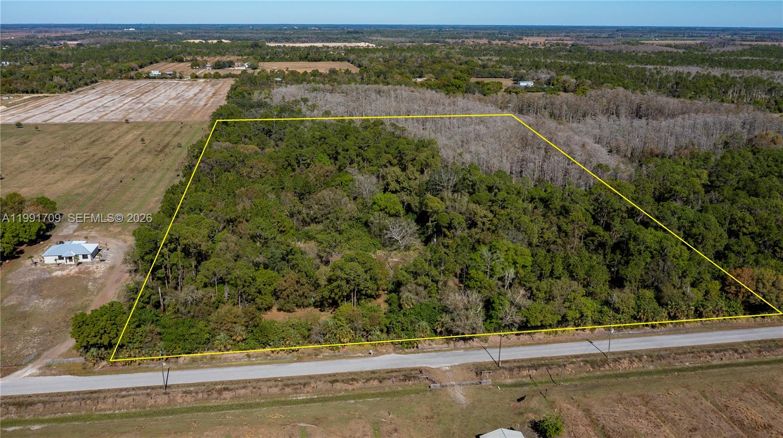 An aerial view shows a rectangular plot of wooded land bordered by a paved road — 850 G RD, La Belle FL 33935, LA BELLE, FL