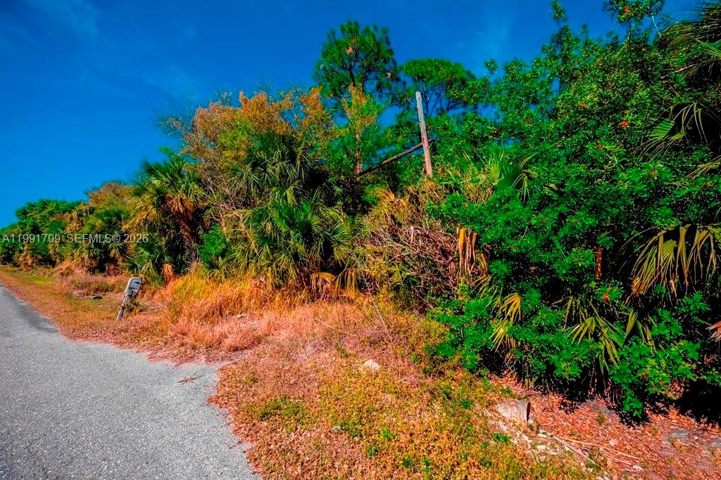 A paved road runs alongside a dense, overgrown lot filled with trees and palm bushes — 850 G RD, La Belle FL 33935, LA BELLE, FL