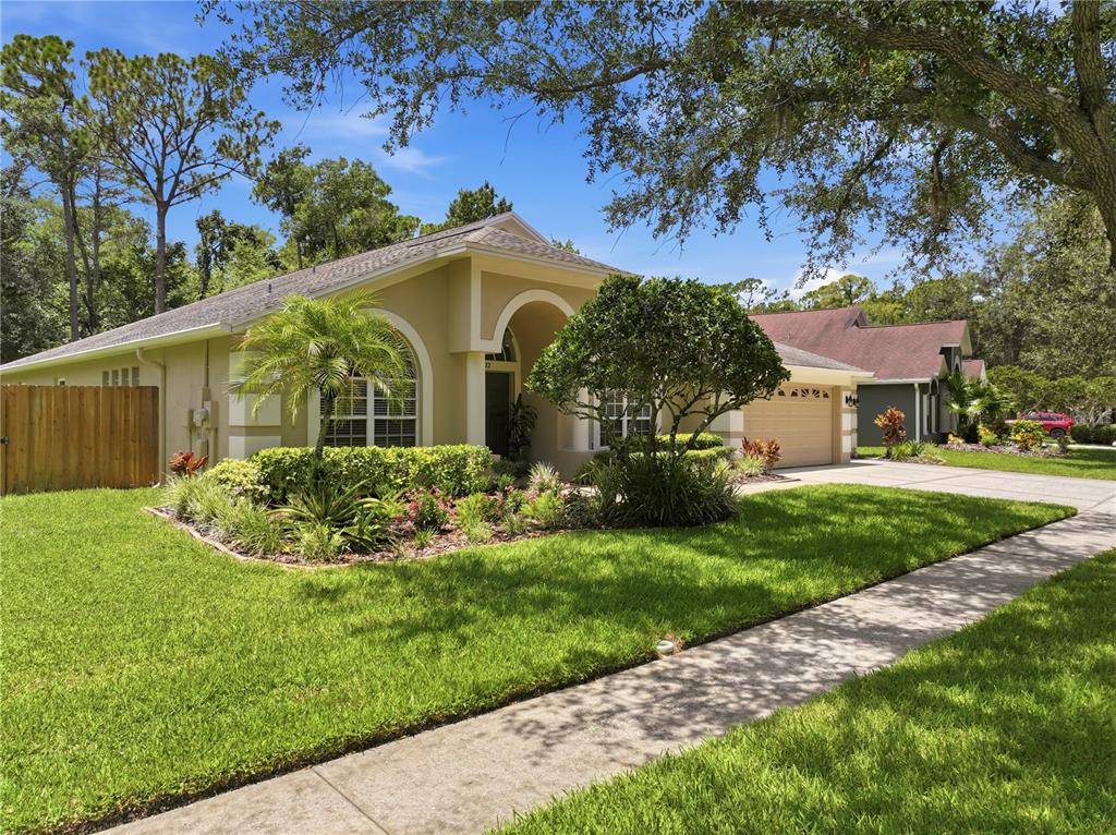 Three deer stand in a backyard garden behind a swimming pool enclosure — 10522 CHAMBERS DRIVE, TAMPA, FL