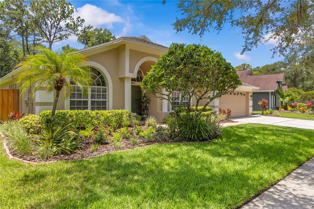 A single-story house with a tan stucco exterior, a front garden, and a paved driveway — 10522 CHAMBERS DRIVE, TAMPA, FL