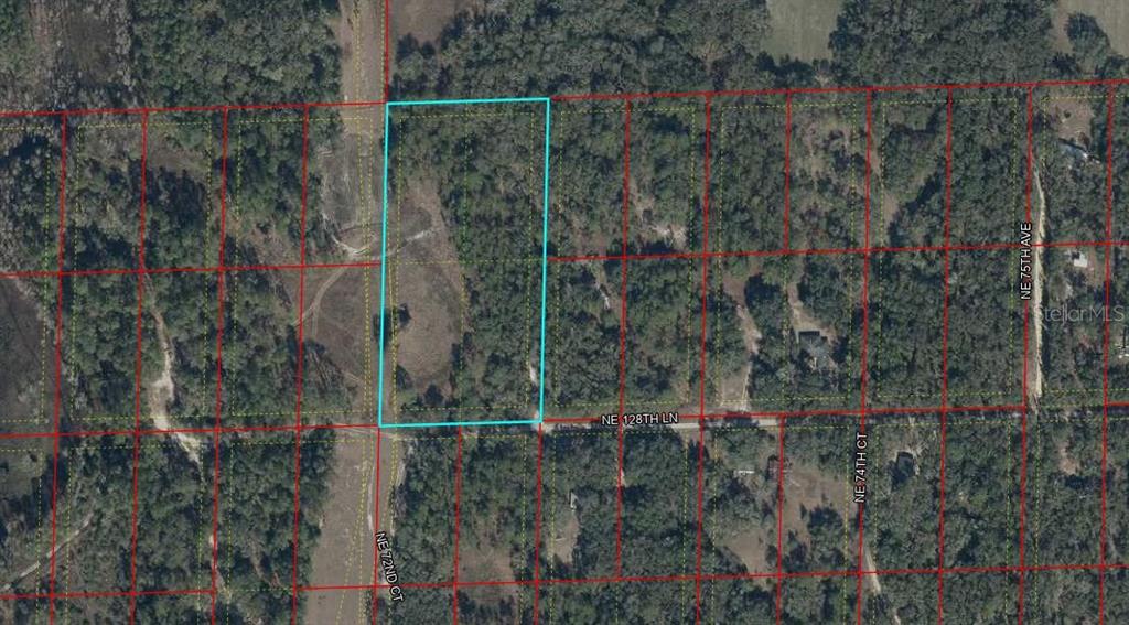 This aerial map shows a rectangular plot of land outlined in blue within a wooded area — TBD NE 128TH LANE, BRONSON, FL