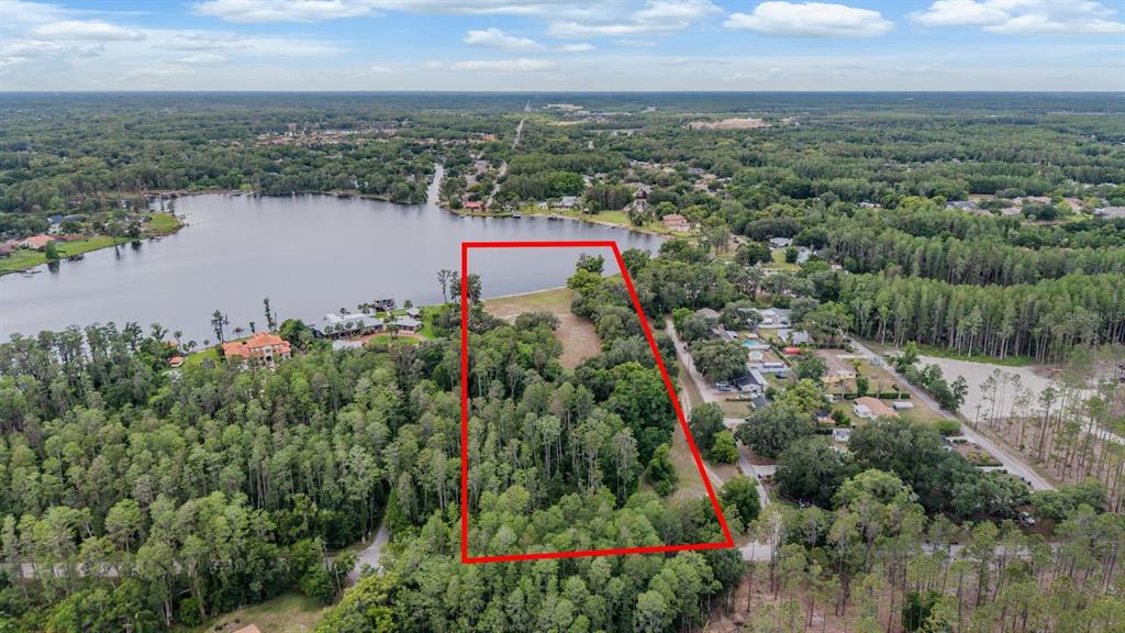 An aerial view shows a rectangular plot of wooded land bordering a large lake — 215 LAKE BRANT DRIVE, LUTZ, FL