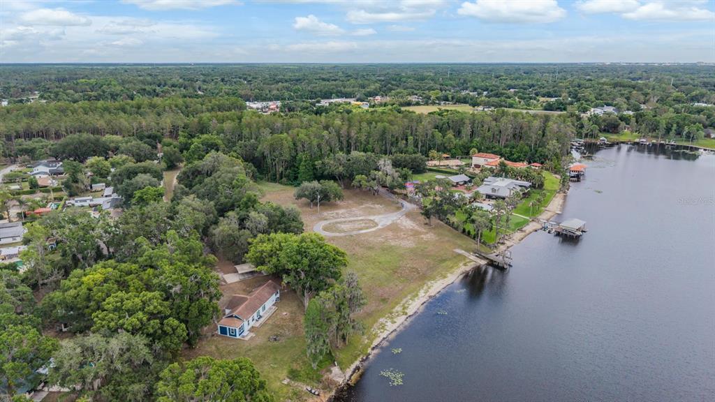 An aerial view shows a waterfront property with a house, trees, and a boat dock — 215 LAKE BRANT DRIVE, LUTZ, FL