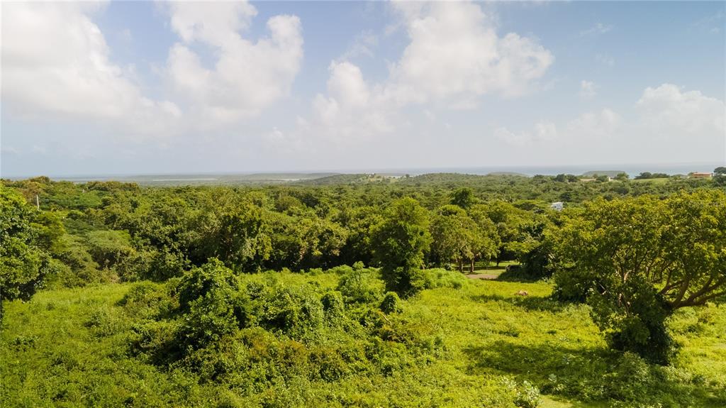 4 PR-995, VIEQUES, PR — photo 2 of 9