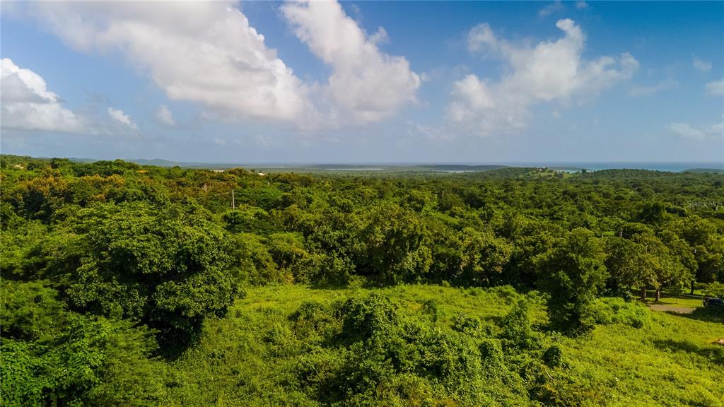 4 PR-995, VIEQUES, PR — photo 3 of 9