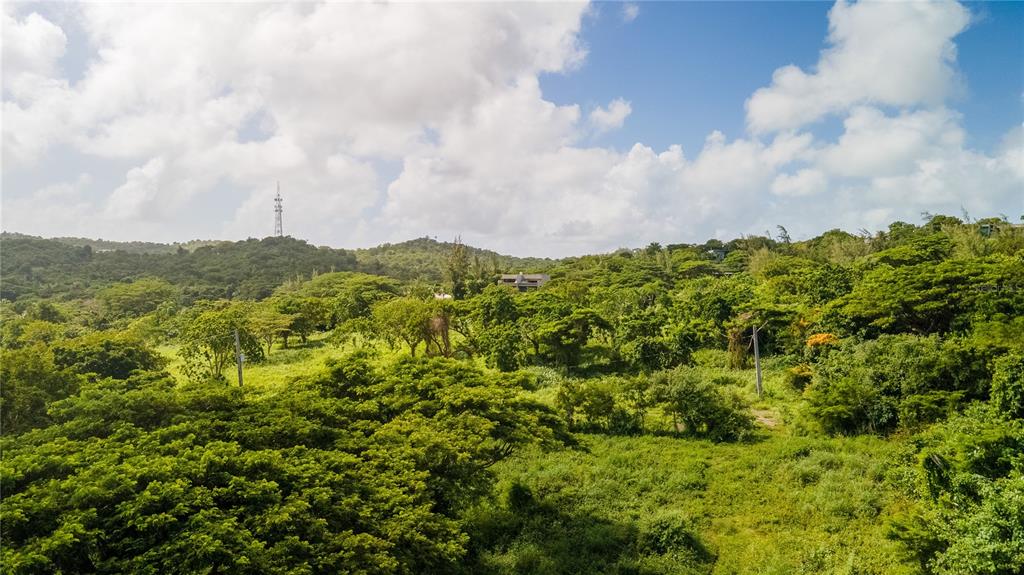 4 PR-995, VIEQUES, PR — photo 4 of 9