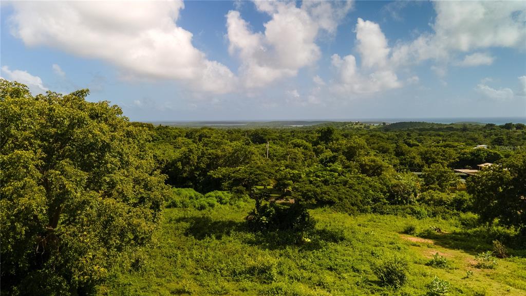 4 PR-995, VIEQUES, PR — photo 5 of 9