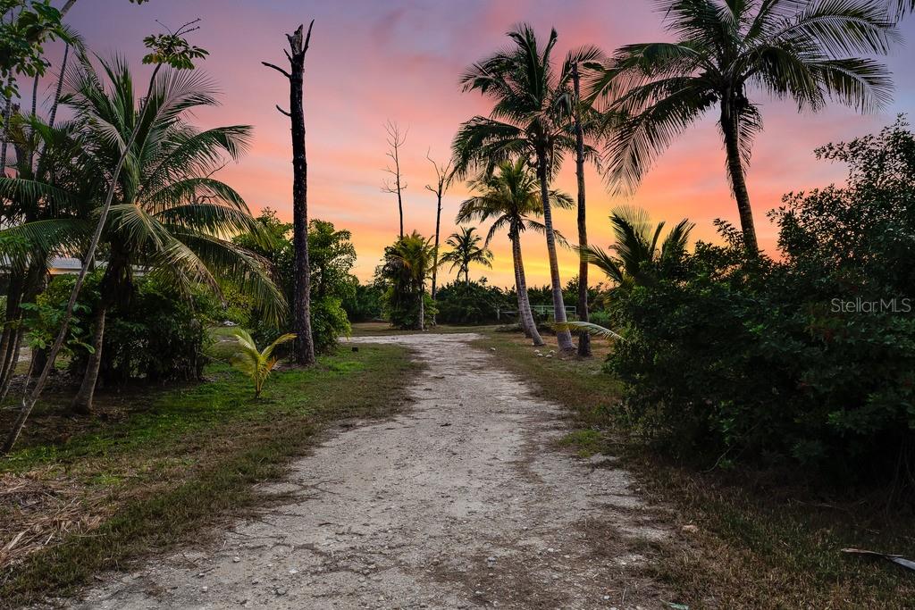 A dirt path leads through a tropical landscape toward a sunset sky with palm trees — 5209 WESTERN DRIVE, ST JAMES CITY, FL