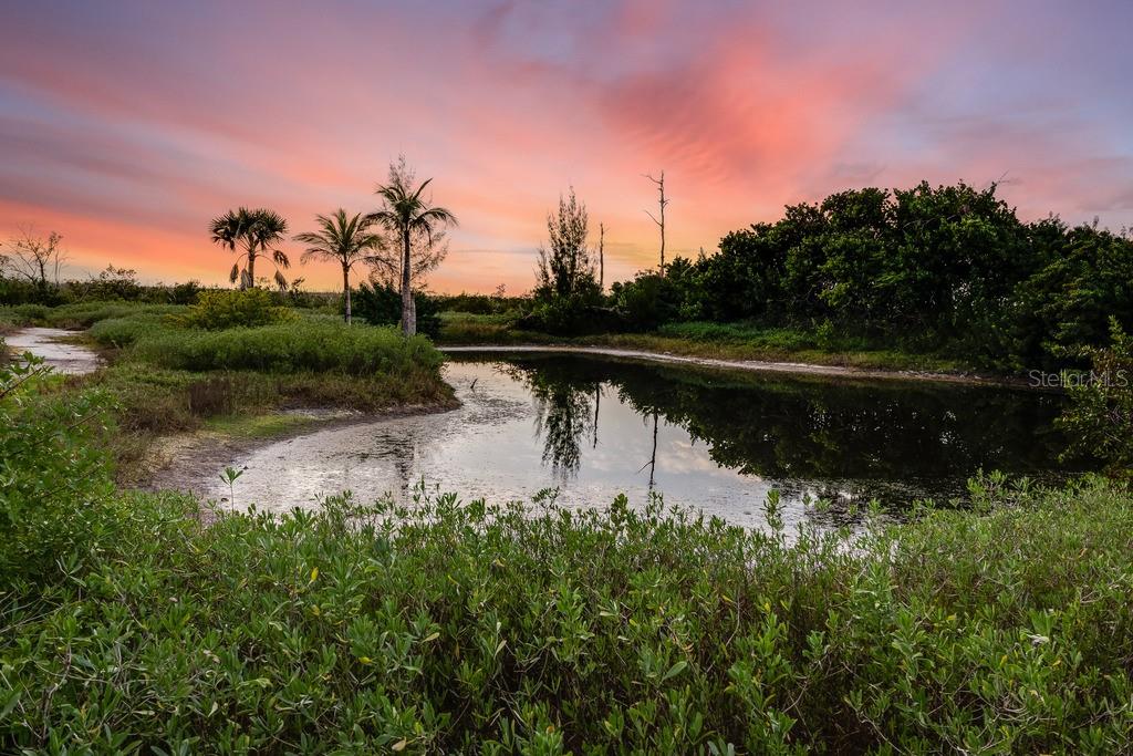 A small pond surrounded by lush vegetation and palm trees under a colorful sunset sky — 5209 WESTERN DRIVE, ST JAMES CITY, FL