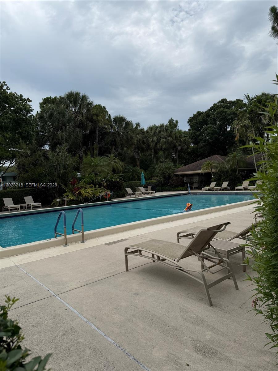 A rectangular outdoor swimming pool is surrounded by lounge chairs and lush tropical landscaping — POMPANO BEACH, FL