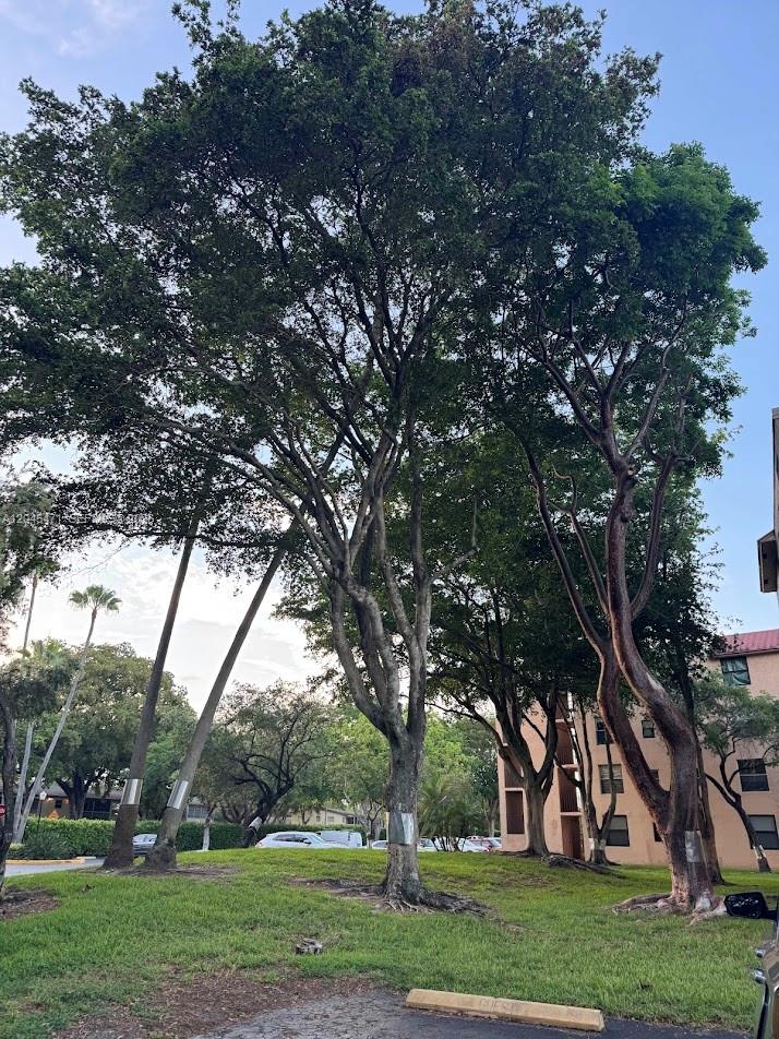 An outdoor tennis court with a green surface and red perimeter surrounded by chain-link fencing — 7591 NW 1st St # 403, Margate FL 33063, MARGATE, FL