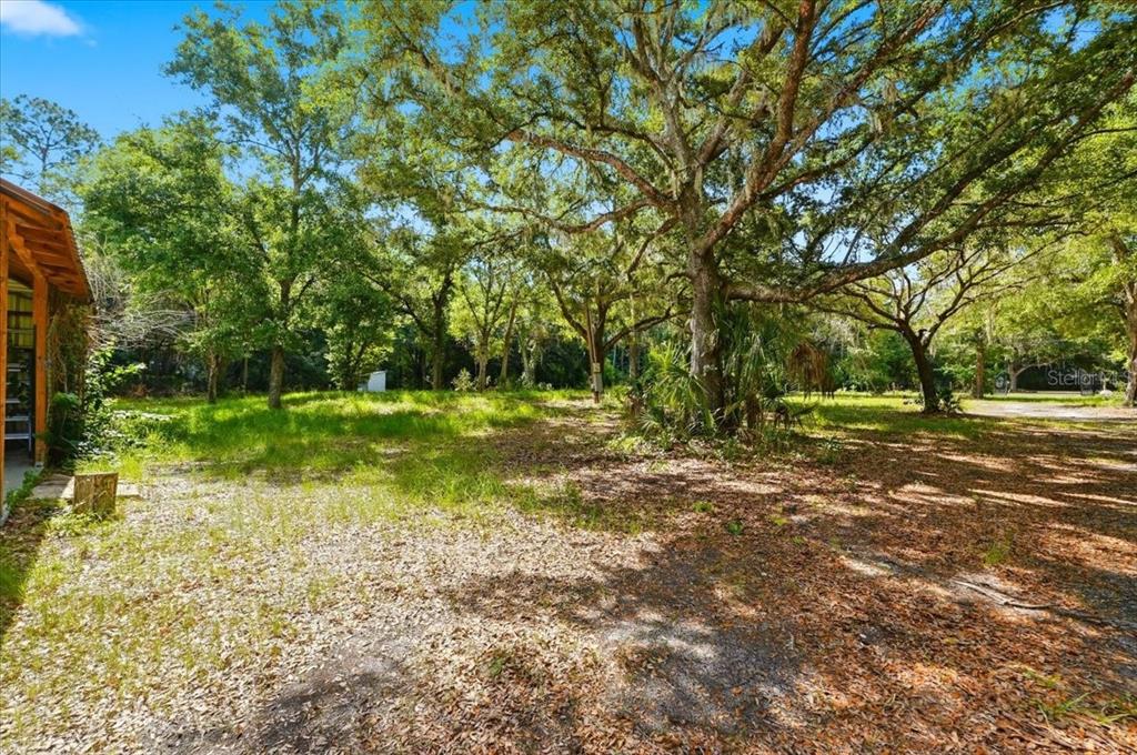 A wooded lot with a gravel area and a partial view of a building exterior — 1425 PIONEER DRIVE, LAKELAND, FL