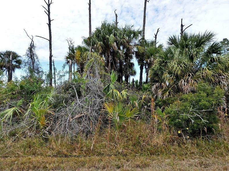 EWEN DRIVE, NORTH PORT, FL — photo 2 of 5