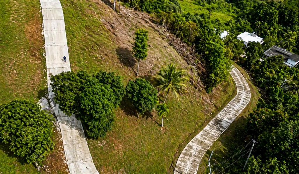 An aerial view shows a concrete driveway winding through a grassy, tree-lined hillside — LOMA DEL VIENTO BO. MASAS, GURABO, PR
