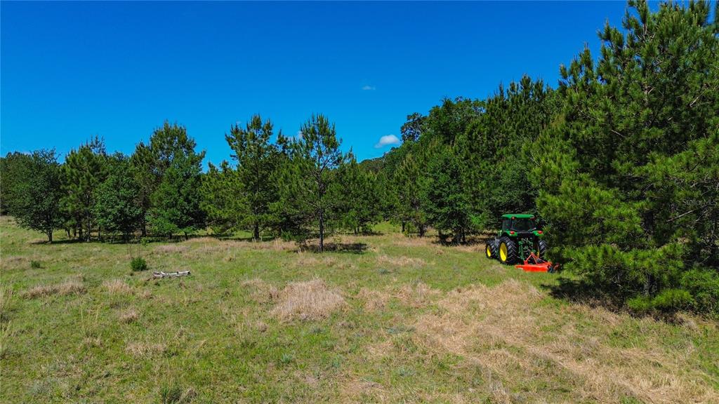A green tractor sits in a grassy field bordered by a line of pine trees — 6489 QUARTERHORSE LANE, BROOKSVILLE, FL