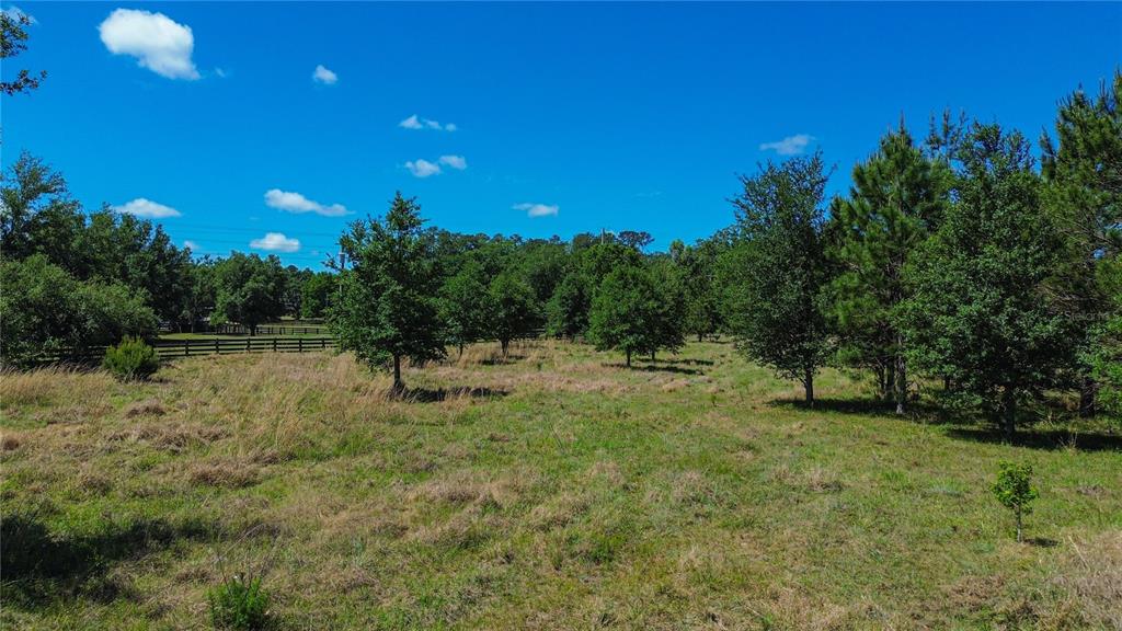 A grassy field with scattered trees under a blue sky with a wooden fence — 6489 QUARTERHORSE LANE, BROOKSVILLE, FL