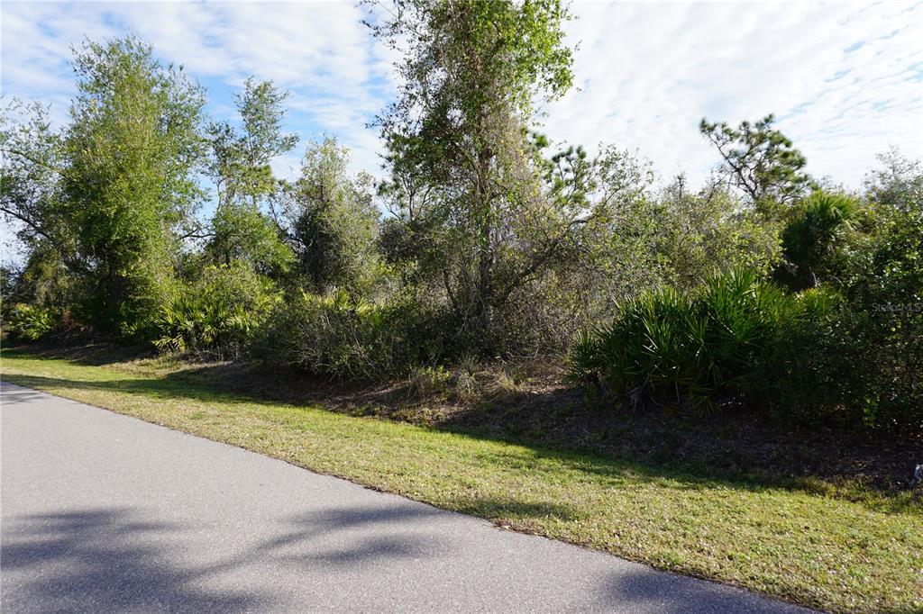 A paved road runs alongside a wooded lot with dense vegetation and palm trees — 334 OMEN STREET, PUNTA GORDA, FL