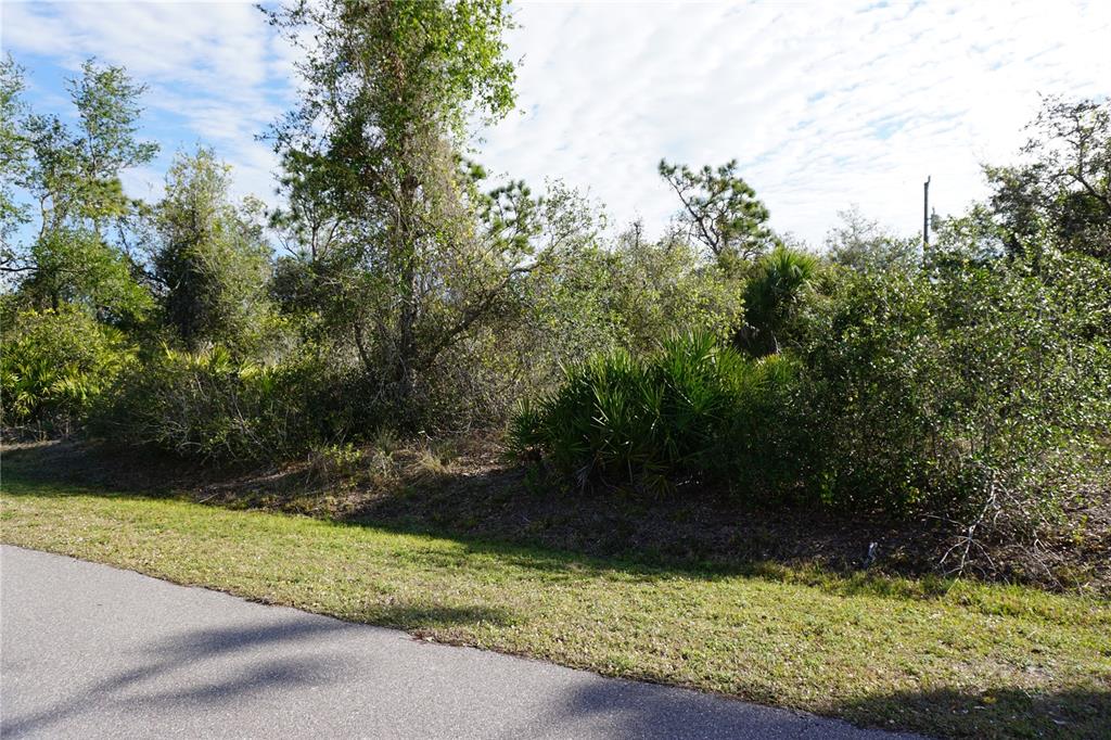 A paved road runs alongside a wooded lot with dense vegetation and native Florida trees — 334 OMEN STREET, PUNTA GORDA, FL