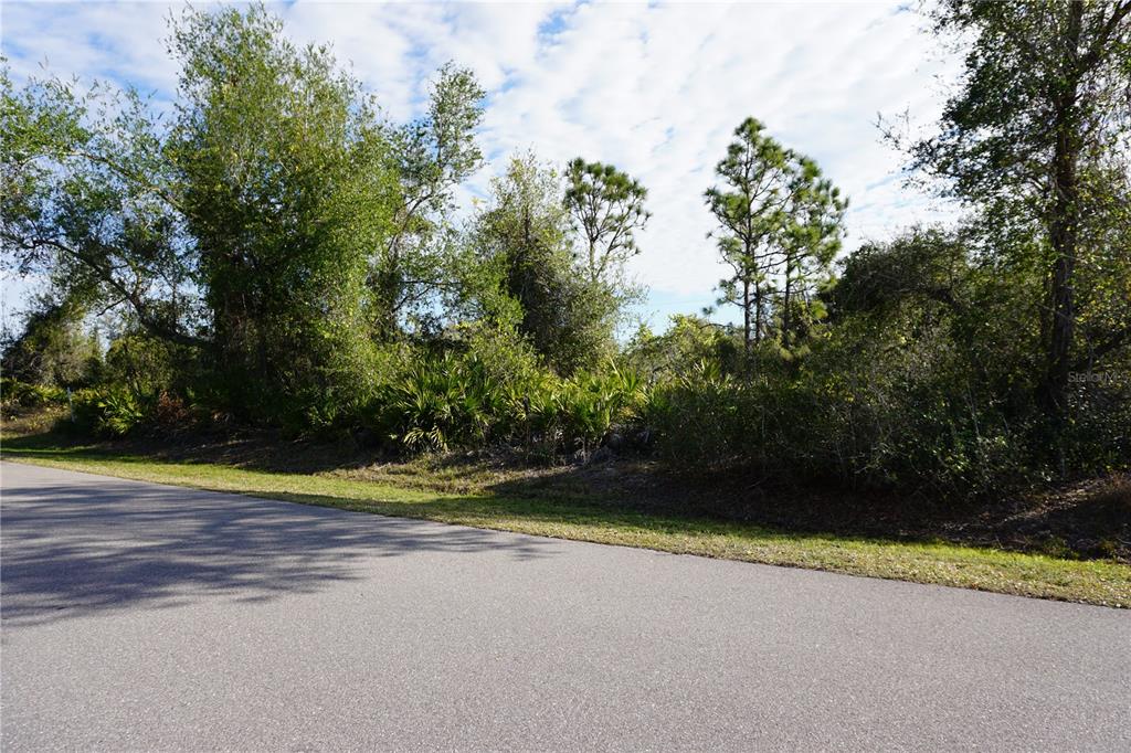 A paved road runs alongside a wooded lot with dense trees and palmetto bushes — 334 OMEN STREET, PUNTA GORDA, FL