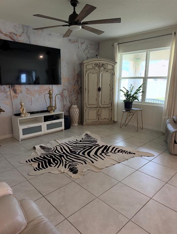 A living room features a marble-patterned accent wall, a zebra-print rug, and a ceiling fan — 5240 GREENHEART AVENUE, MOUNT DORA, FL