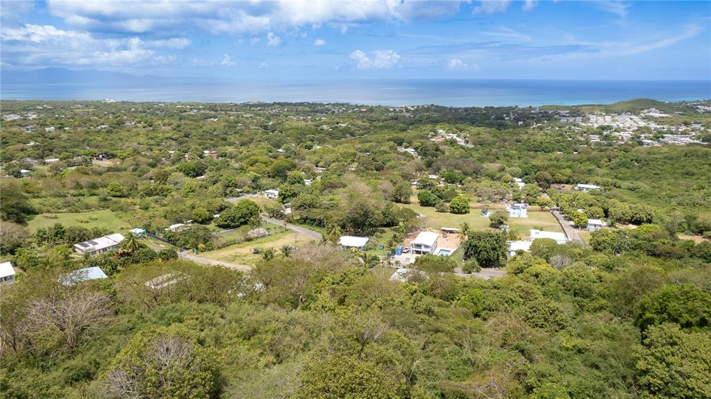 An aerial view shows houses scattered among lush green trees near a coastal shoreline — 18 CALLE 16, VIEQUES, PR