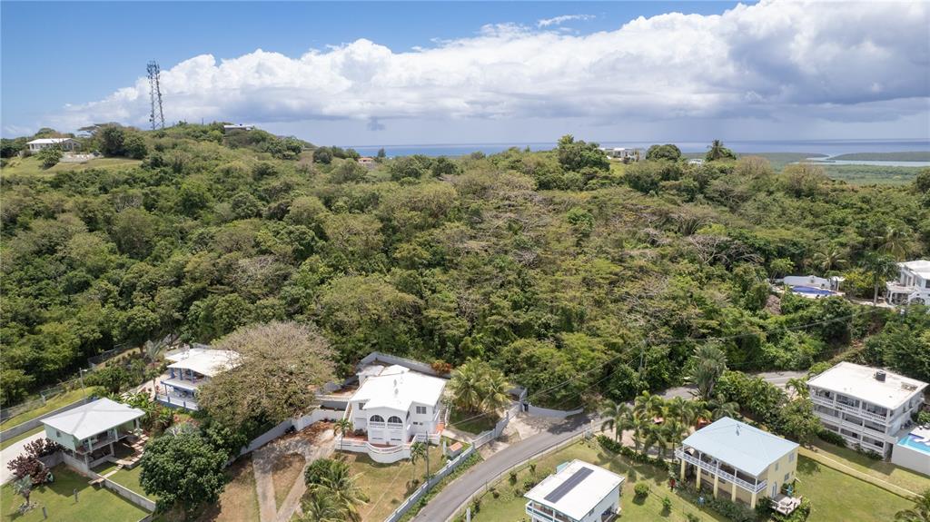 An aerial view shows several houses nestled in a lush, hilly landscape near the ocean — 18 CALLE 16, VIEQUES, PR
