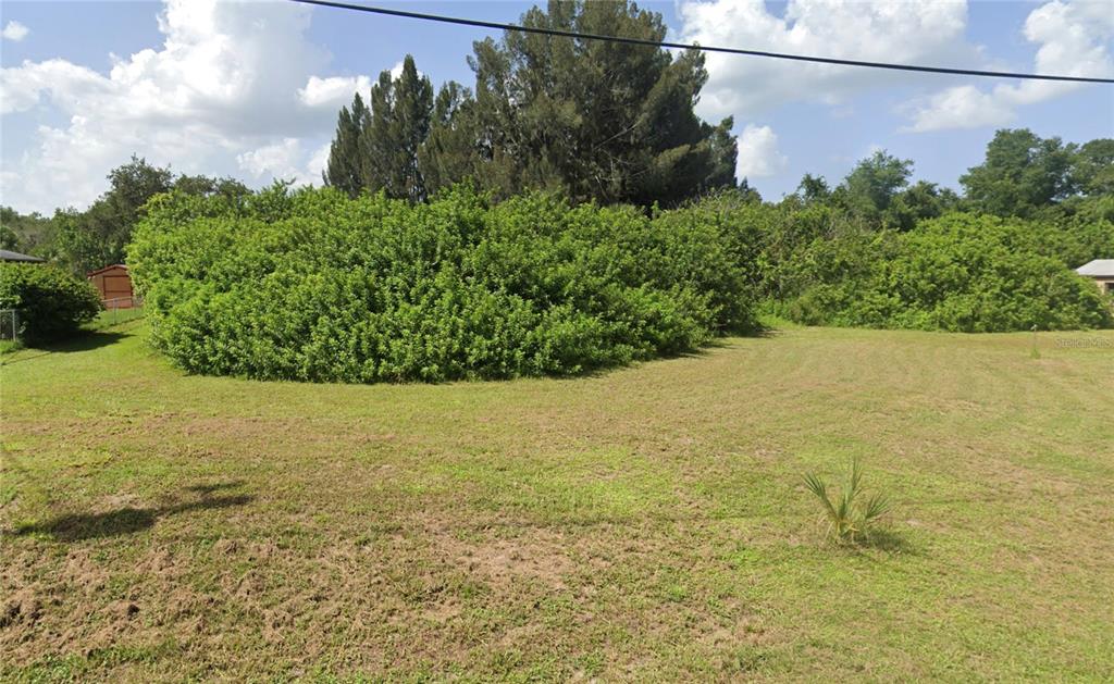 A grassy, open lot features a small palm plant and dense green trees in the background — CORTEZ LANE, NORTH PORT, FL