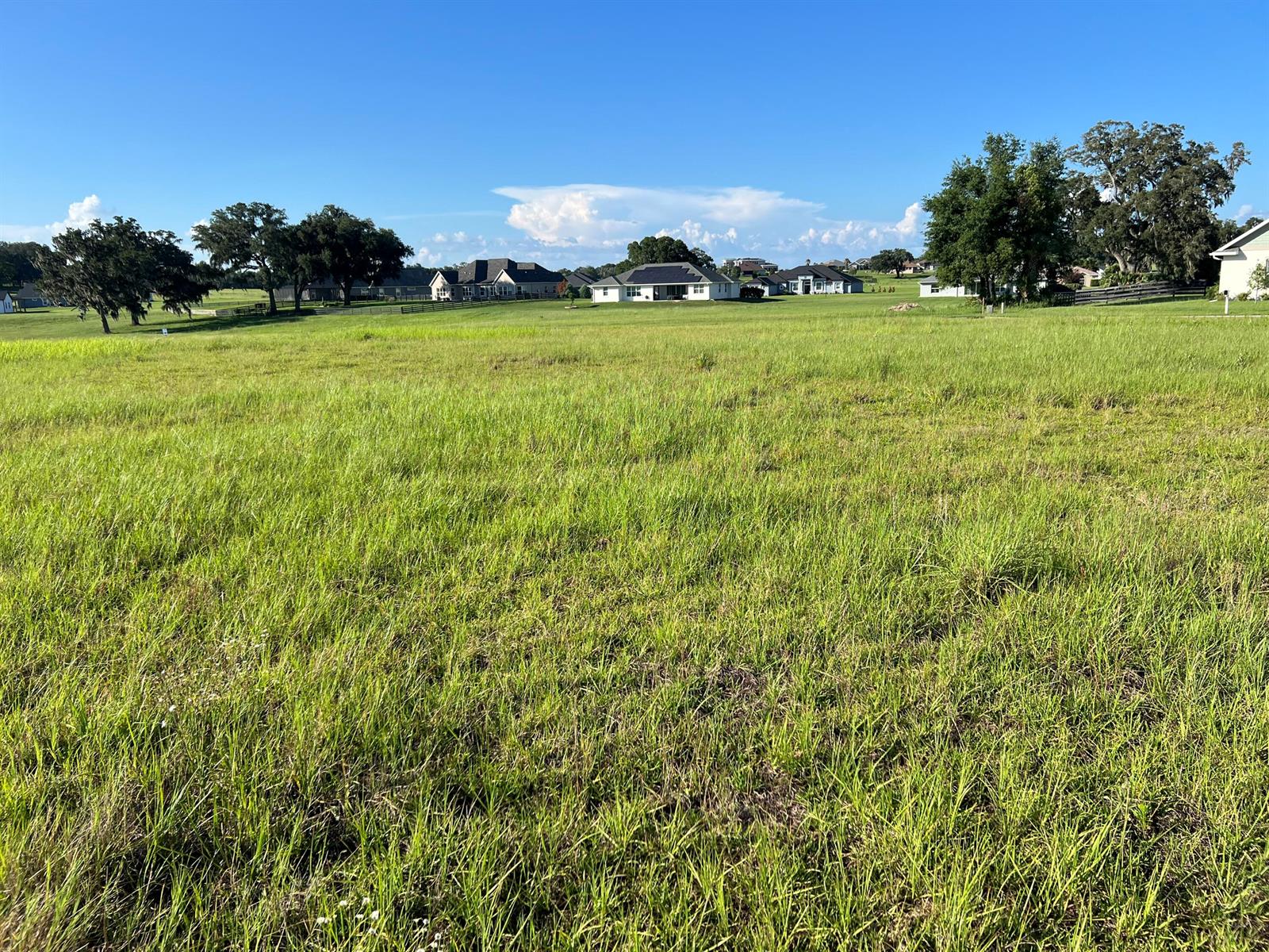 A large, grassy field with scattered trees and residential houses in the distance — 000 NW 79th Loop, Ocala FL 34475, OCALA, FL