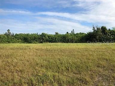 A flat, grassy vacant lot is bordered by a dense line of green trees — 339 NE 19TH TERRACE, CAPE CORAL, FL