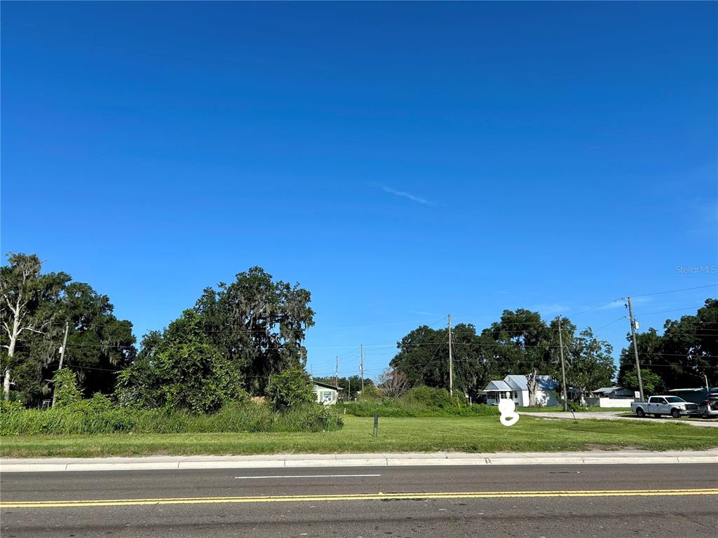 A vacant grassy lot sits along a paved road with trees and houses in the background — 109 ORANGE STREET, BOWLING GREEN, FL