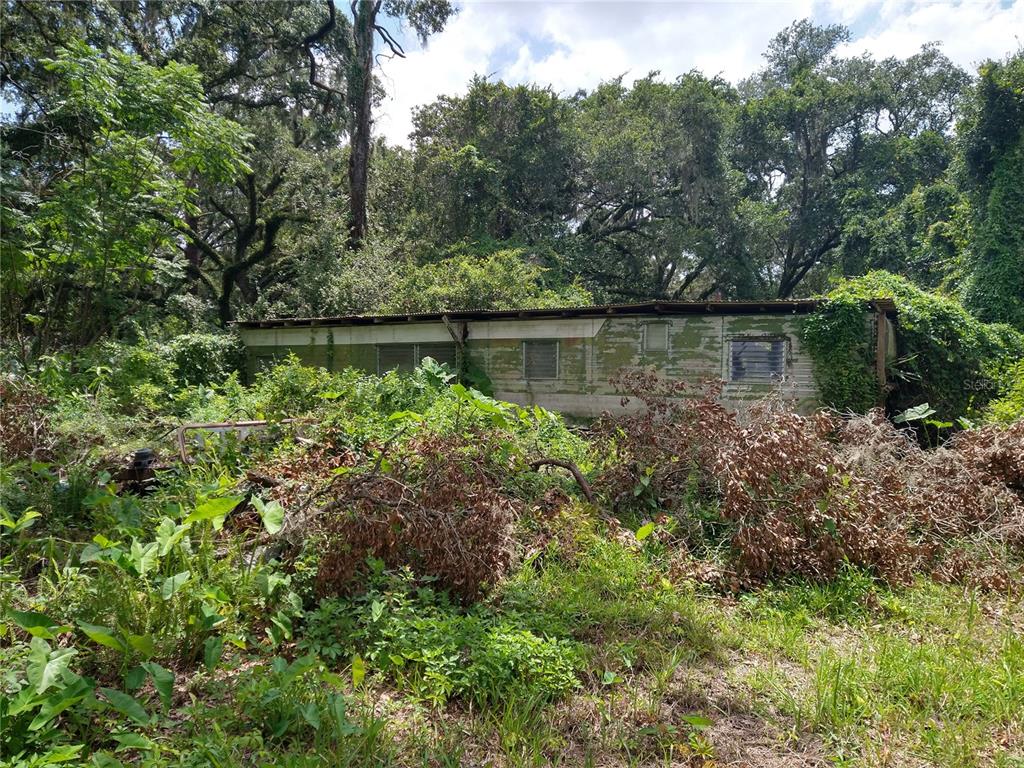 An overgrown, dilapidated mobile home sits in a wooded lot surrounded by dense vegetation — 10616 SHADY DRIVE, HUDSON, FL