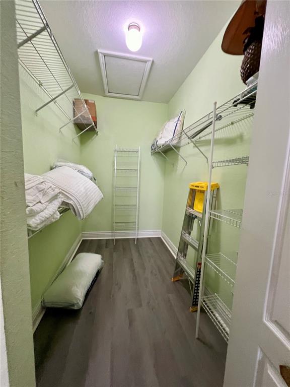 A walk-in closet features light green walls, wire shelving, and dark wood-look flooring — 2713 VIA MURANO UNIT 232, CLEARWATER, FL