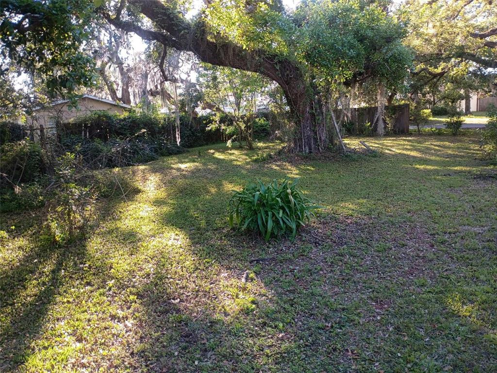 A large oak tree stands in a grassy backyard with a fence and shed nearby — 0 OUTPOST DRIVE, NEW PORT RICHEY, FL
