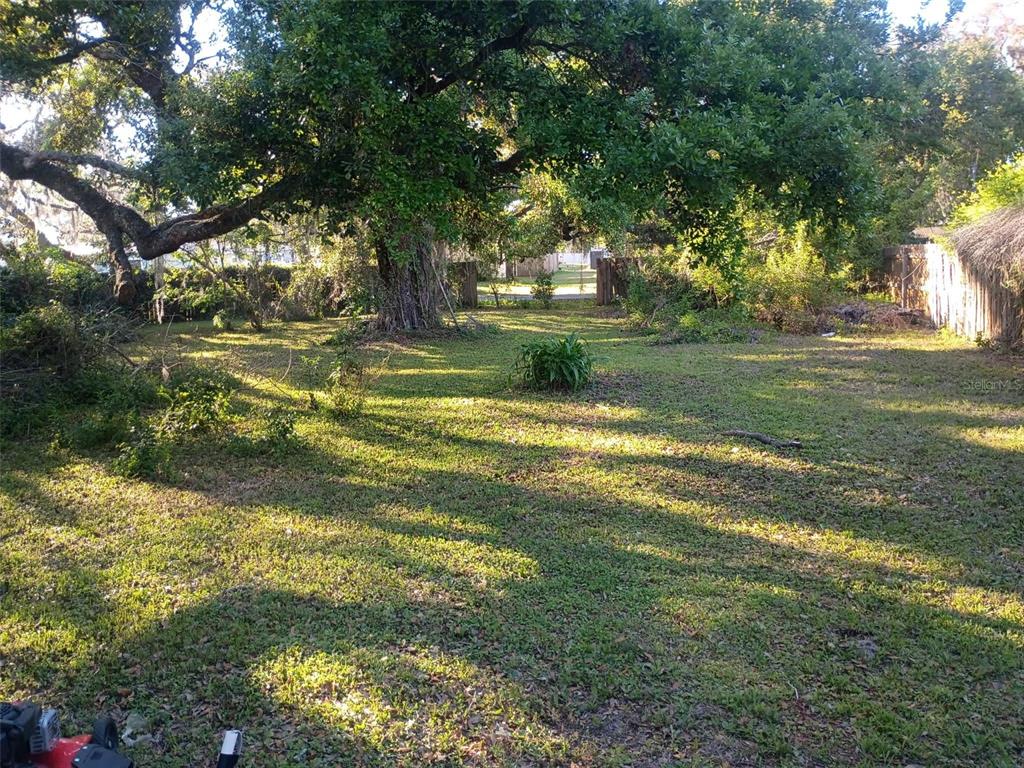 A large, grassy backyard features a prominent oak tree and a wooden fence — 0 OUTPOST DRIVE, NEW PORT RICHEY, FL