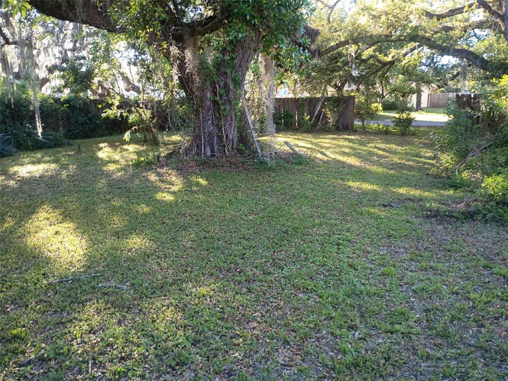 A large tree stands in the center of a grassy, fenced backyard — 0 OUTPOST DRIVE, NEW PORT RICHEY, FL