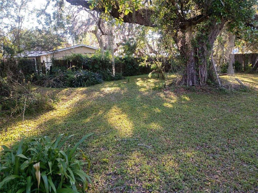 A large, moss-draped oak tree stands in a grassy backyard with a wooden fence — 0 OUTPOST DRIVE, NEW PORT RICHEY, FL