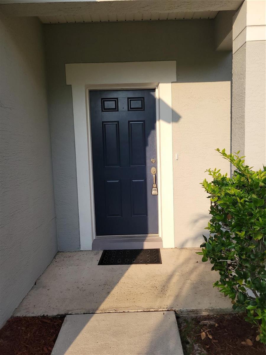 A dark blue front door with white trim is set into a light gray exterior wall — 8448 Adele Road, Lakeland FL 33810, LAKELAND, FL